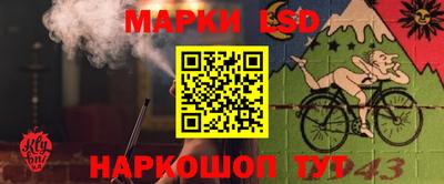 a pvp Шелехов