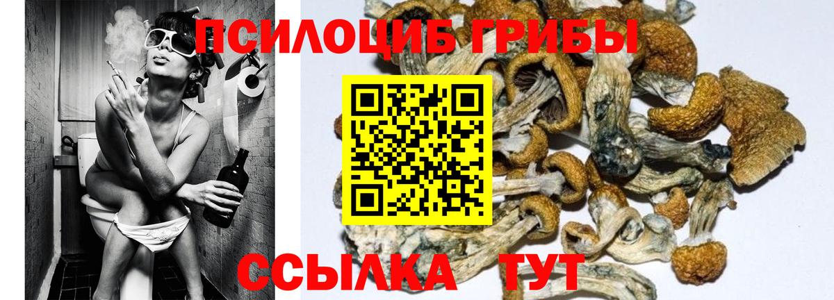 Галлюциногенные грибы ЛСД Барнаул